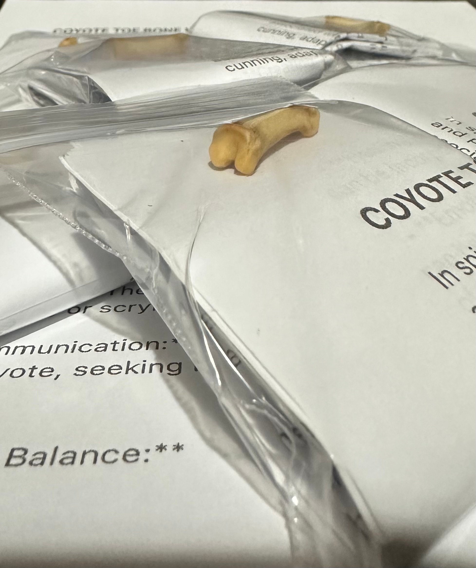 Coyote Toe Bone w/ Info & Instructions