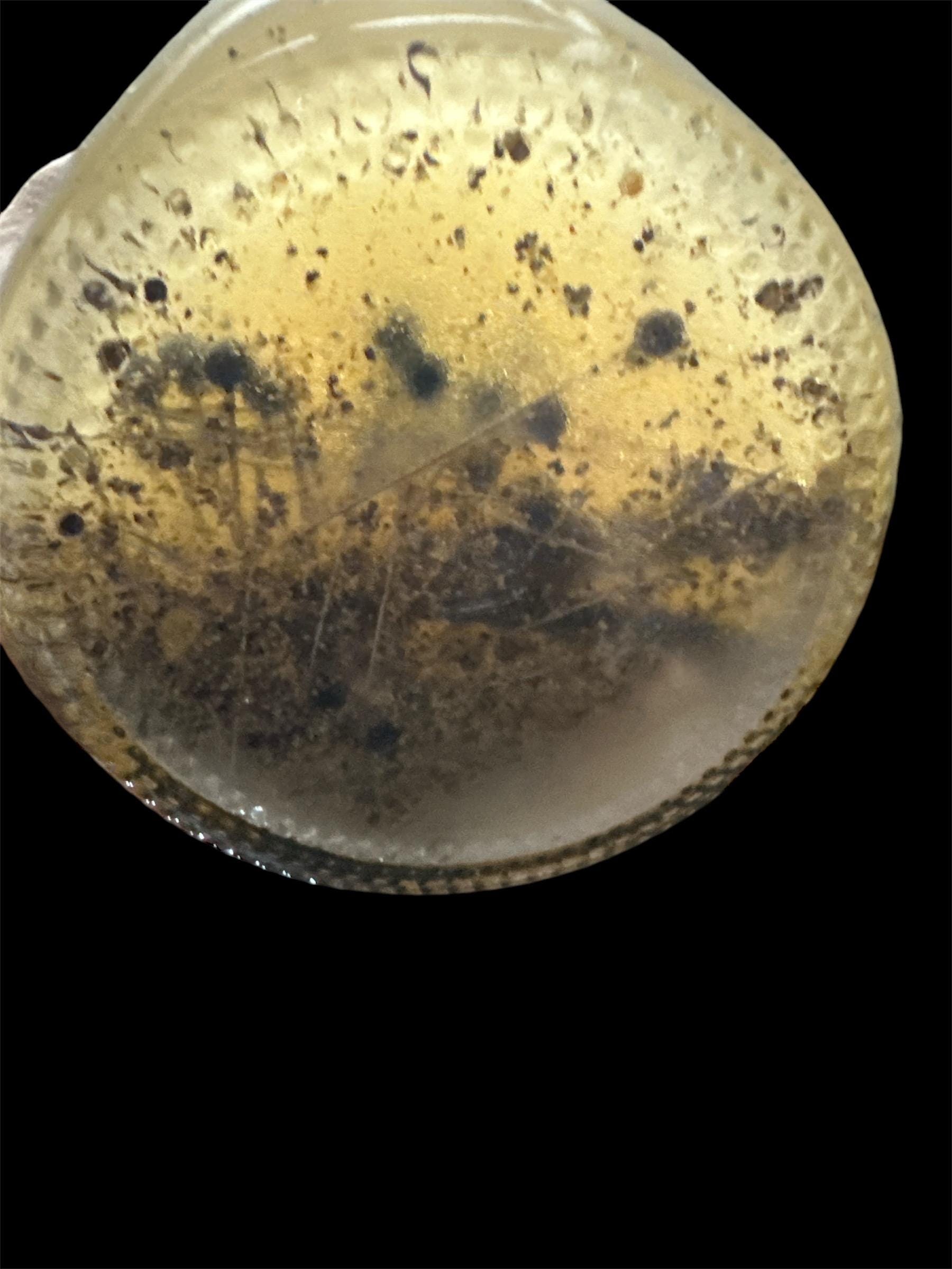 Handcrafted Sweetening , Sour or Freezer Jar - Image 3