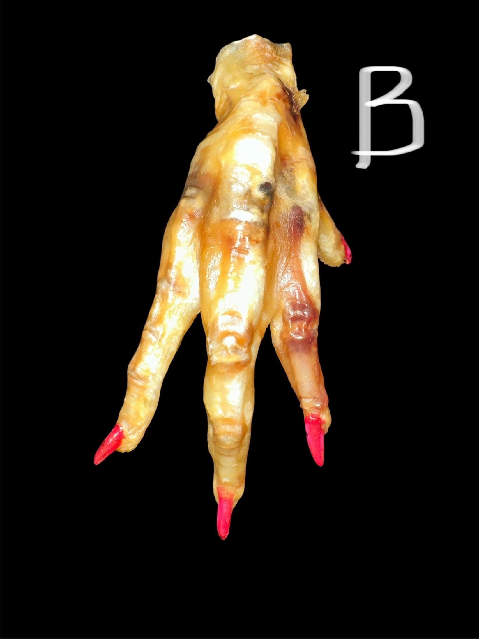 Blessed Chicken Foot w/ Haitian Oil - Image 2
