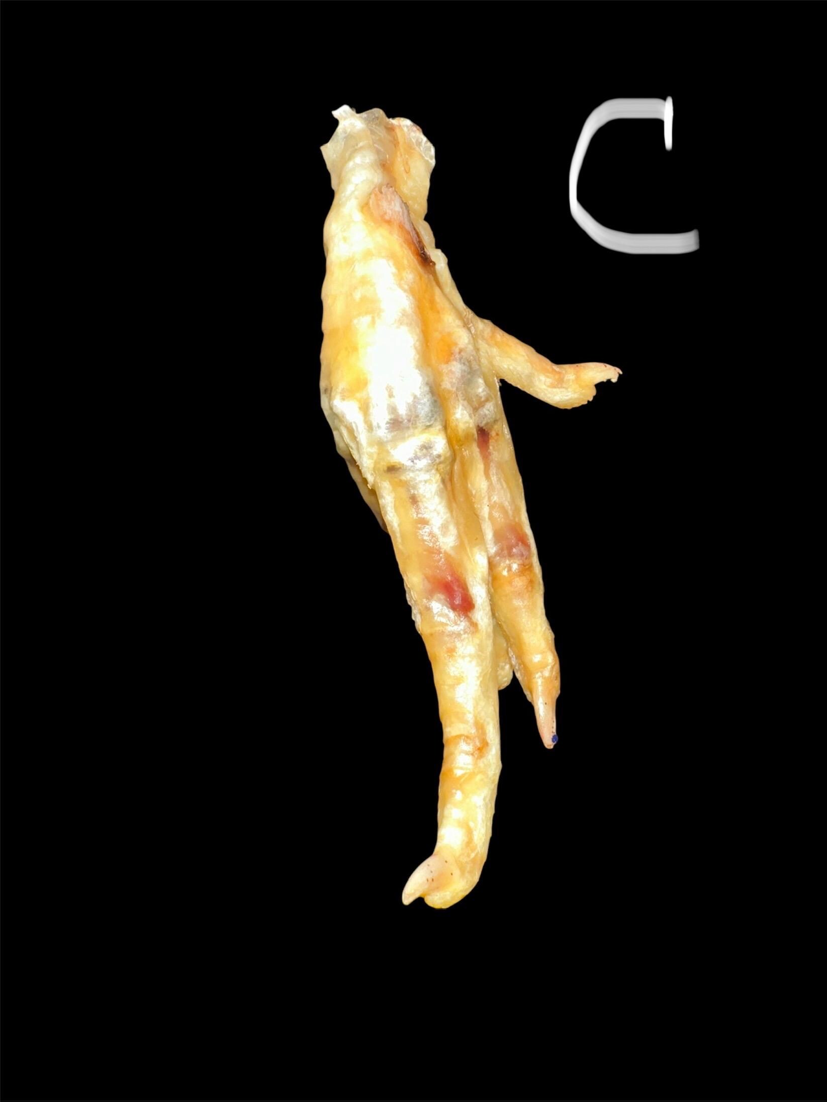 Blessed Chicken Foot w/ Haitian Oil - Image 3
