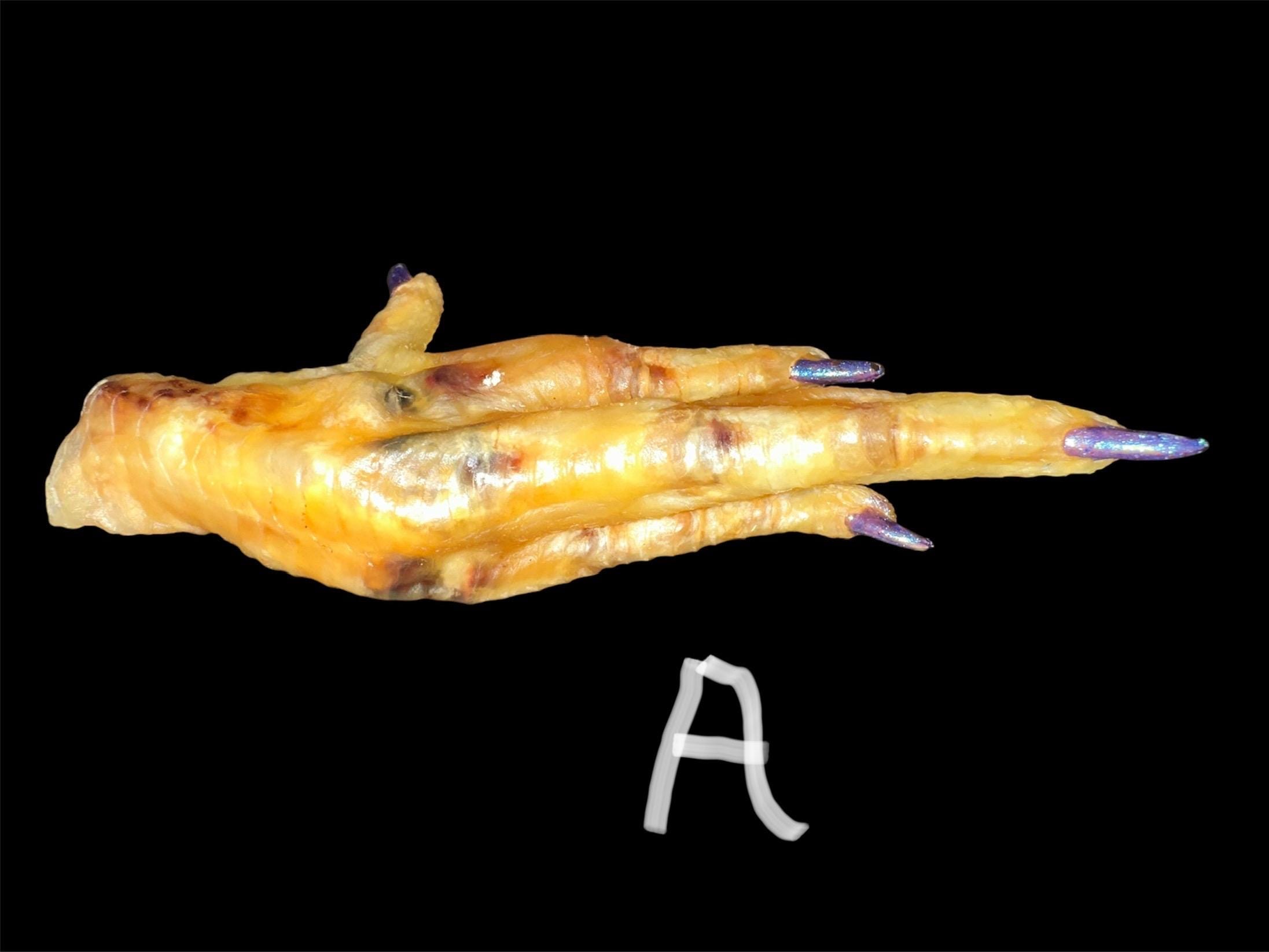 Blessed Chicken Foot w/ Haitian Oil